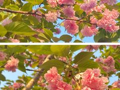 -南京金牛湖风景区