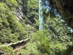 -碧峰峡风景区