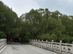 -同里国家湿地公园