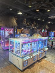 -卡通尼·Safari非洲探索乐园·生日会(金桥国际商业广场店)