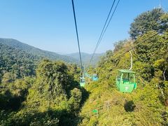 -野象谷景区