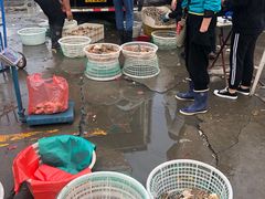 -王四营海鲜市场