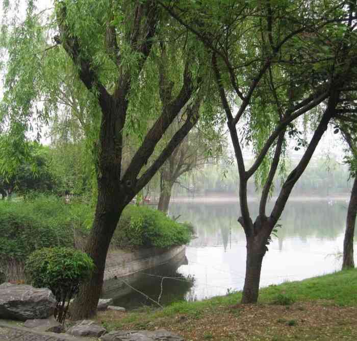 东大池公园-"早上去白马畈买早点,骑行到世贸附近,发现.