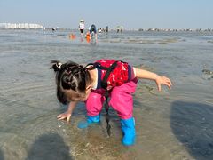 -北海金海湾红树林生态旅游区