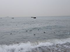 -银沙滩浴场