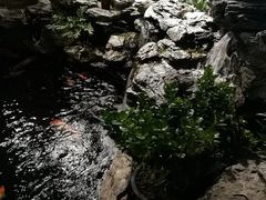 -顺德了能馆(虎门店)