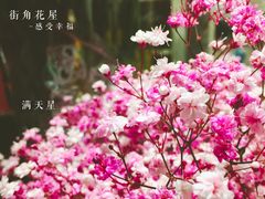-杭州街角花屋花店(闻堰店)