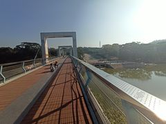 -东莞植物园