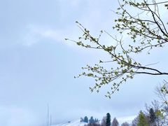 -新疆那拉提国家旅游度假区
