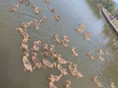 -野鸭湖国家湿地公园