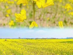 -汉长安城未央宫国家考古遗址公园