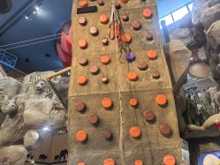 -卡通尼·Safari非洲探索乐园·生日会(金桥国际商业广场店)