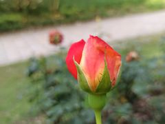 -共青国家森林公园-售票处