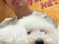-和它·交个朋友·狗咖猫咖(爱琴海店)
