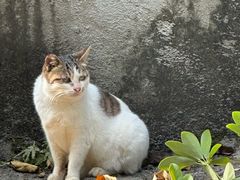 -广州兰圃