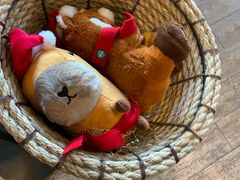 -星巴克臻选(沈阳万象城店)