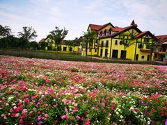 -歌斐颂巧克力小镇