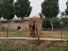 -石家庄市动物园