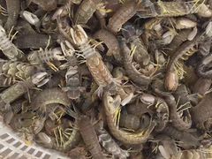 -浪琴湾尾角仔海鲜坊