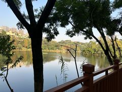 -重庆彩云湖湿地公园
