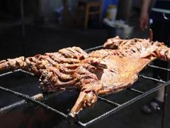 烤全羊-大京袁记烤全羊农家(大京水库店)