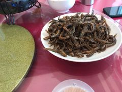 -黄牛肉馆·皖南土菜
