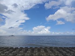 -野狸岛