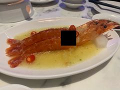 -喜鼎海胆水饺(柏威年购物中心店)