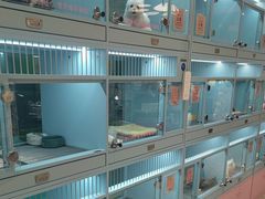 -FAELING PETS美天灵宠物(合生汇店)