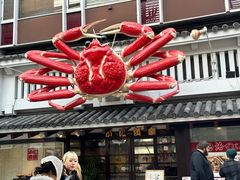 -蟹道乐(道顿堀本店)