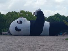 -苏州太湖国家湿地公园
