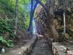 -香炉山国家森林公园