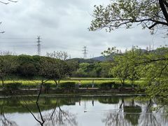 -八卦田遗址公园
