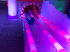 -梦幻奥陶纪景区