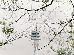 -上海吴淞炮台湾国家湿地公园