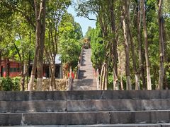 -函谷关历史文化旅游区