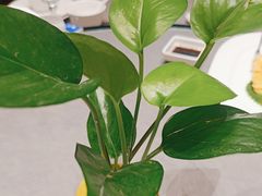 -上海银厨(武宁路店)