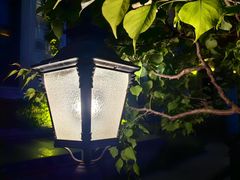 -大连海昌东方水城