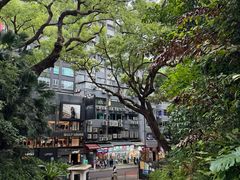 -九龙公园