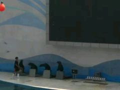 -北戴河圣蓝海洋公园