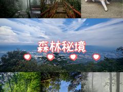 -缙云山景区