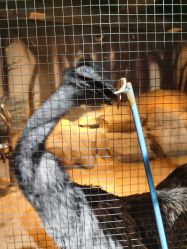 -酷嗒动物文化乐园(cutezoo西溪乐天城店)