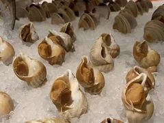 -上海世茂皇家艾美酒店