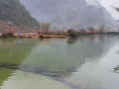 -靖西鹅泉风景区