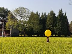 -北坞公园