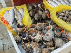 -小铜锣湾海鲜家常菜馆(河西店)