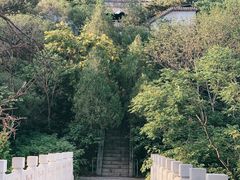-白水寺森林公园