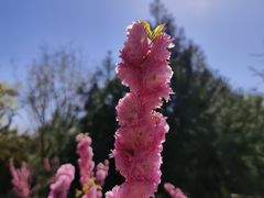 -北宫国家森林公园