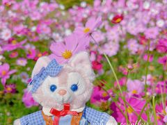 -花开海上生态园