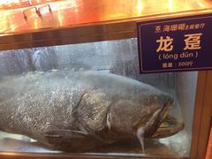 -御唐府海珊瑚主题餐厅